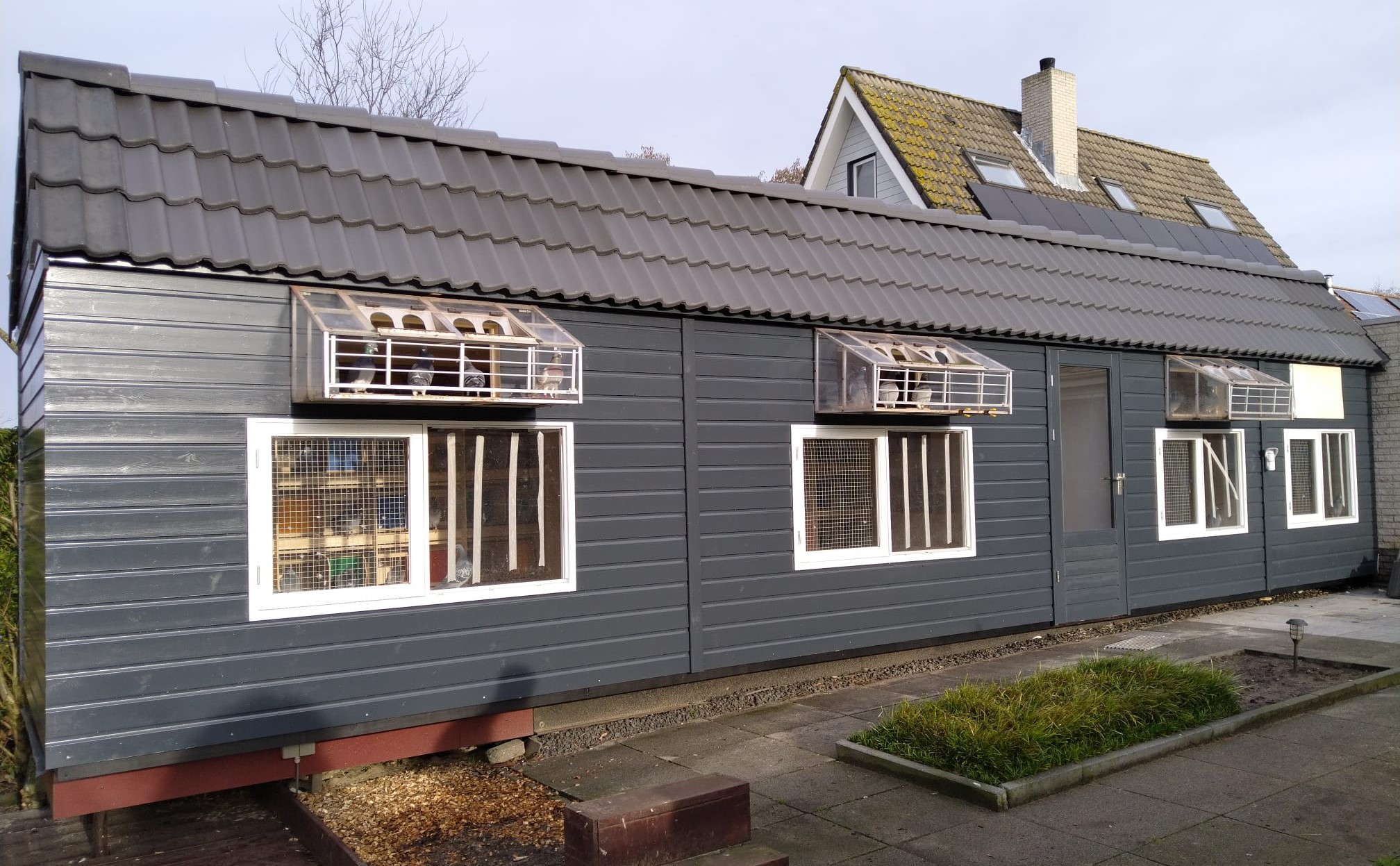 Maatwerk duivenhok grijs met vliegruimte